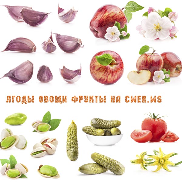 Ягоды, овощи и фрукты на белом фоне