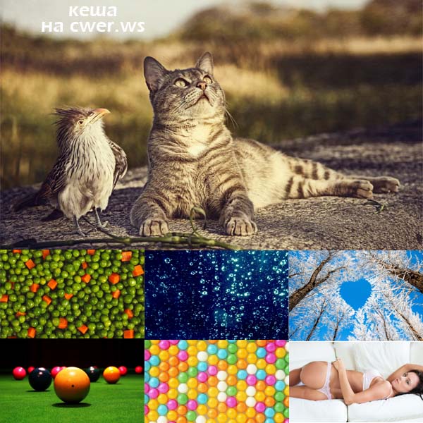 New Mixed HD Wallpapers Pack 235