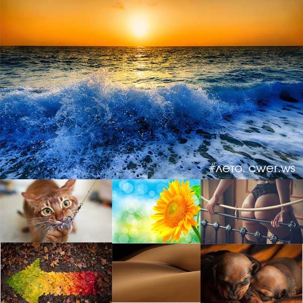 New Mixed HD Wallpapers Pack 282