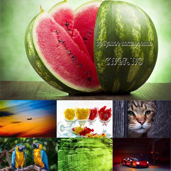 New Mixed HD Wallpapers Pack 289