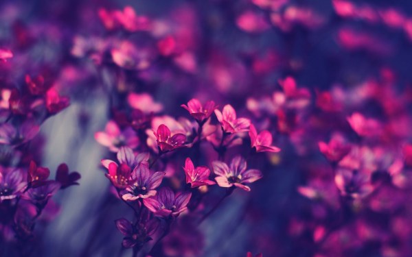 Best Mixed Wallpapers Pack #345-346