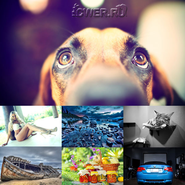 New Mixed HD Wallpapers Pack 64