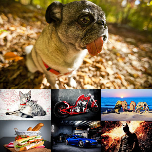 New Mixed HD Wallpapers Pack 65