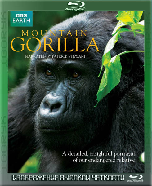 Горная горилла (2010) HDRip + BDRip