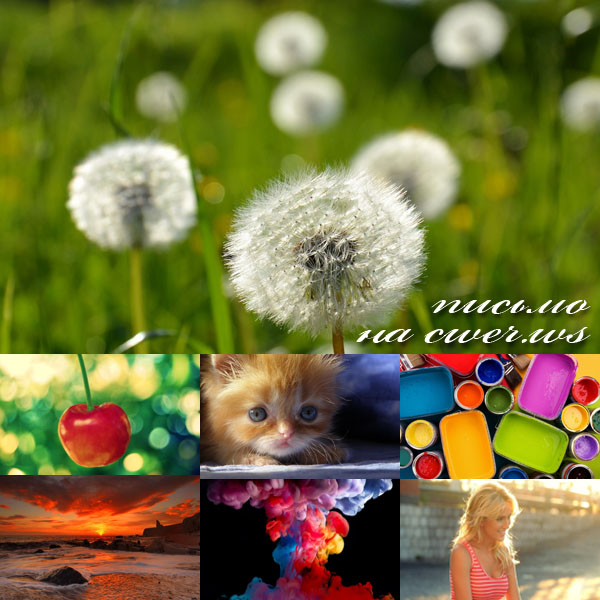 New Mixed HD Wallpapers Pack 118