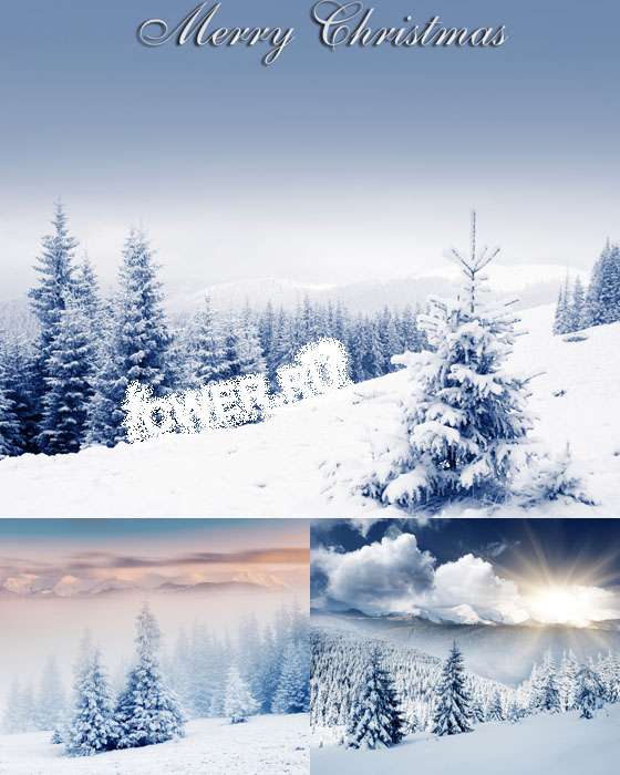 Stock Photo. Winter Landscapes