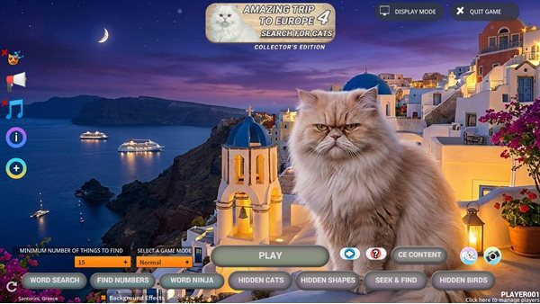 Amazing Trip to Europe 4: Search for Cats Collector’s Edition
