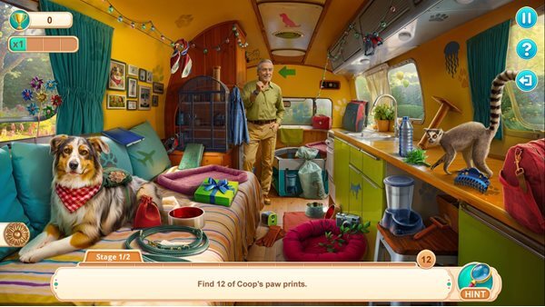 Home for Friends: Beloved Pets Collector's Edition