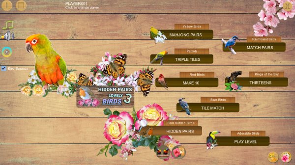 Hidden Pairs 3: Lovely Birds