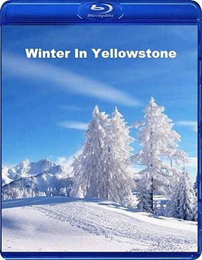 Зима в Йеллоустоуне / Winter In Yellowstone