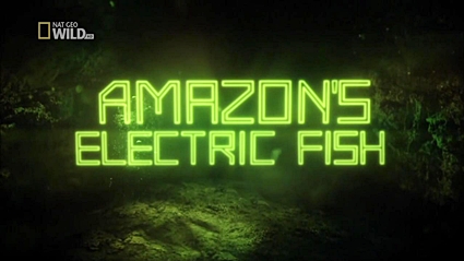 Амазонская электрическая рыба