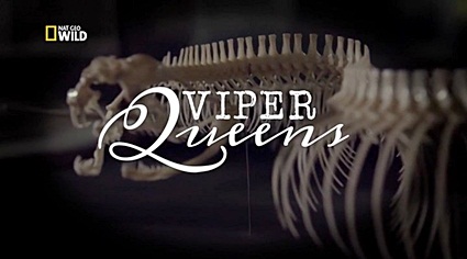 Королевы гадюк