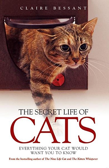 Тайная жизнь кошек