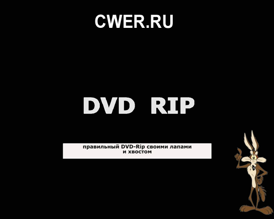 Как правильно создать DVD-Rip