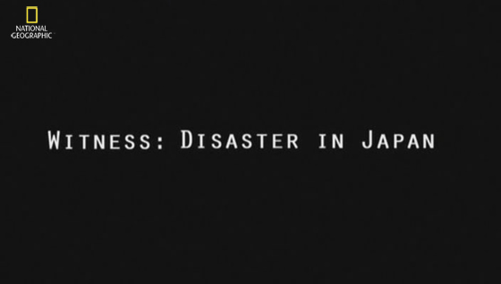 Свидетели японской катастрофы