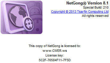 NetGong 8.1 Build 210