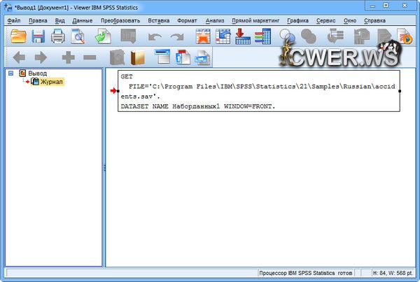 IBM SPSS Statistics 21