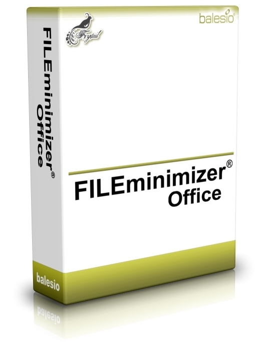 FILEminimizer Office 6.0 + Serial