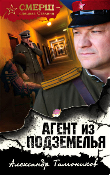 Александр Тамоников. Агент из подземелья