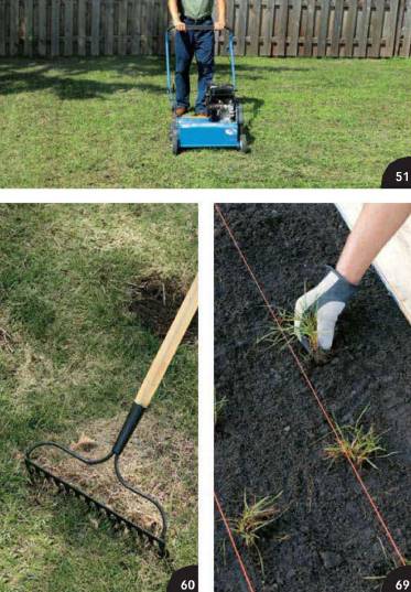 The Complete Guide to a Better Lawn