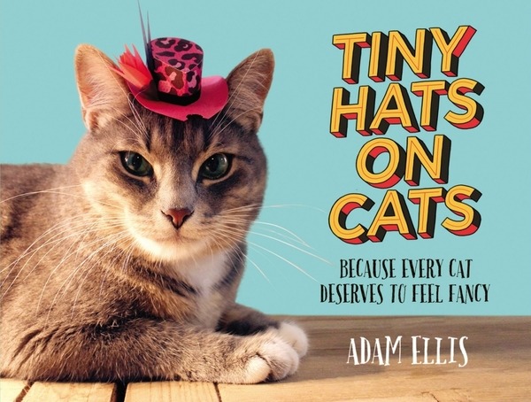 Adam Ellis. Tiny Hats on Cats
